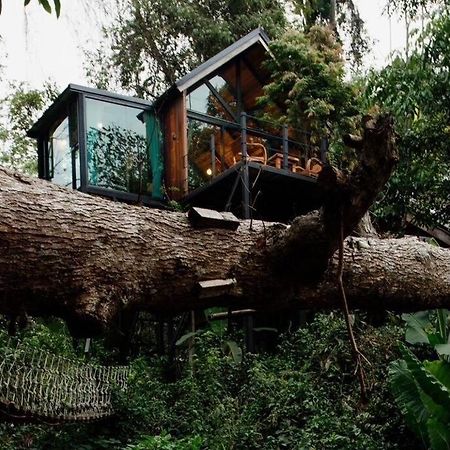 Wilderness Treehouse Villa Doi Saket Luaran gambar