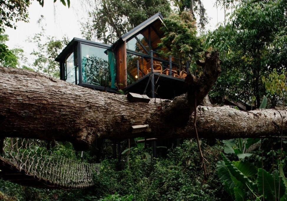 Wilderness Treehouse Villa Doi Saket Luaran gambar