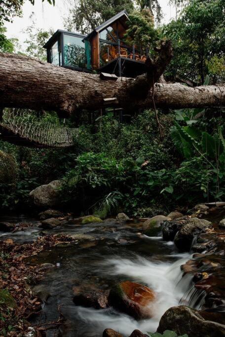 Wilderness Treehouse Villa Doi Saket Luaran gambar