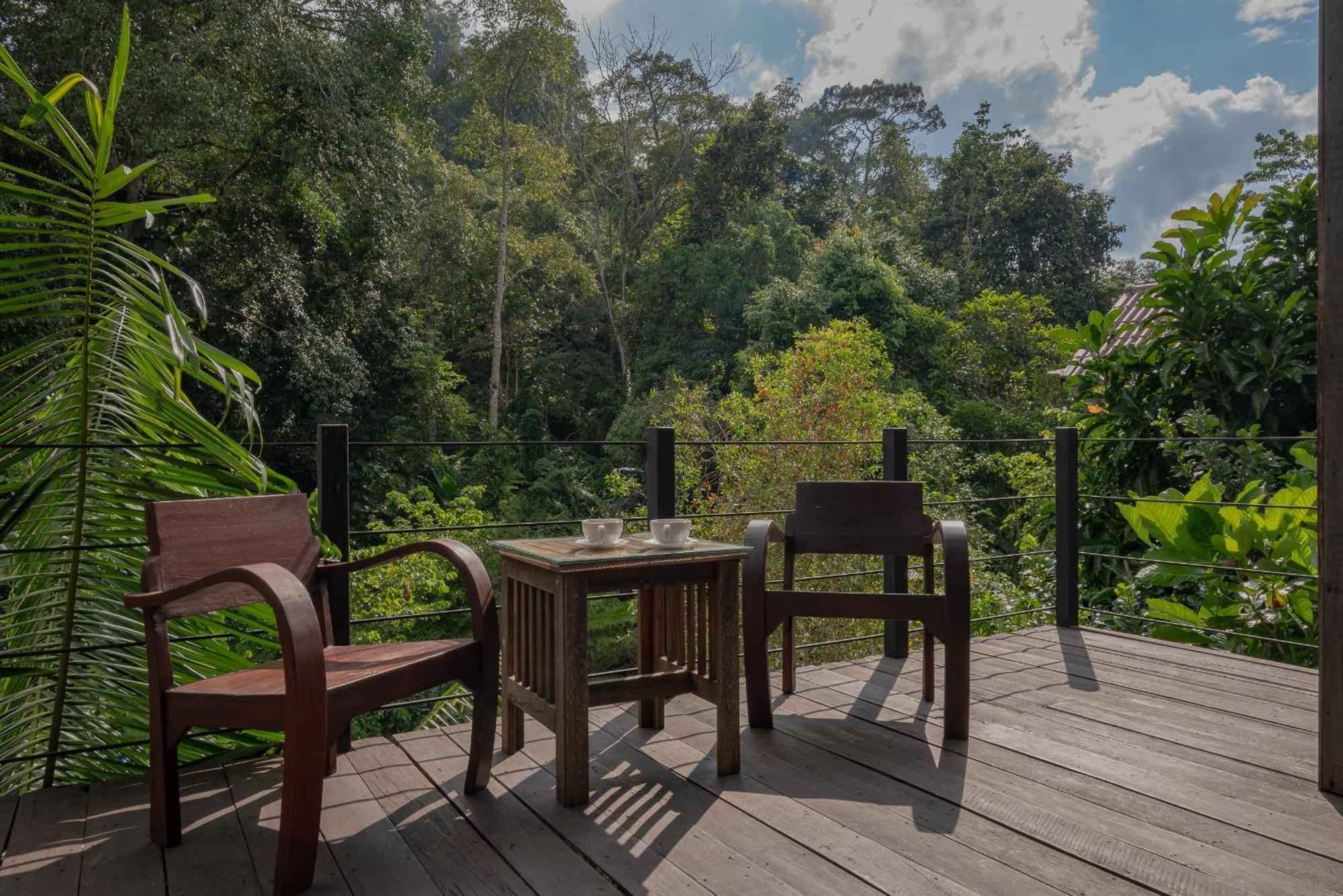 Wilderness Treehouse Villa Doi Saket Luaran gambar